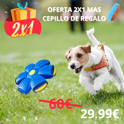 FlyBall - Pelota Voladora para Perros - (OFERTA 1+1  MÁS CEPILLO VAPORIZADOR)