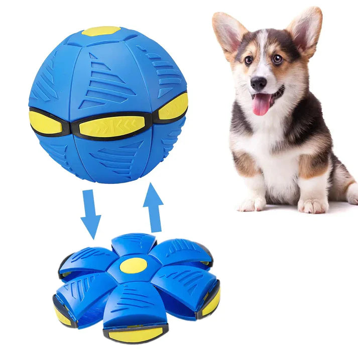 FlyBall - Pelota Voladora para Perros - (OFERTA 1+1  MÁS CEPILLO VAPORIZADOR)