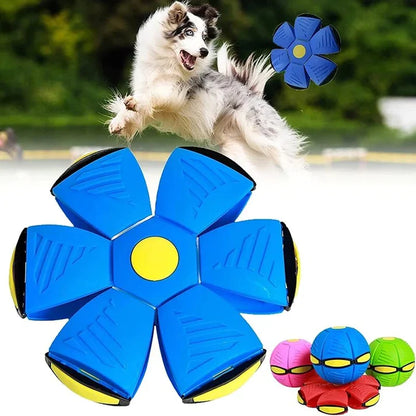 FlyBall - Pelota Voladora para Perros - (OFERTA 1+1  MÁS CEPILLO VAPORIZADOR)